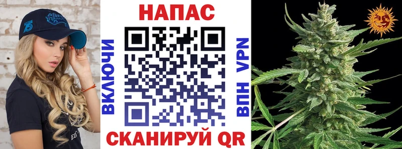 Наркошоп купить Псилоцибиновые грибы Мефедрон Гашиш Канабис Альфа ПВП Орехово-Зуево