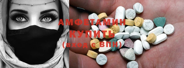PSILOCYBIN Белокуриха