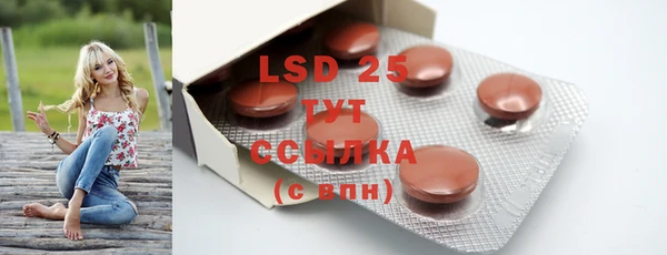 PSILOCYBIN Белокуриха