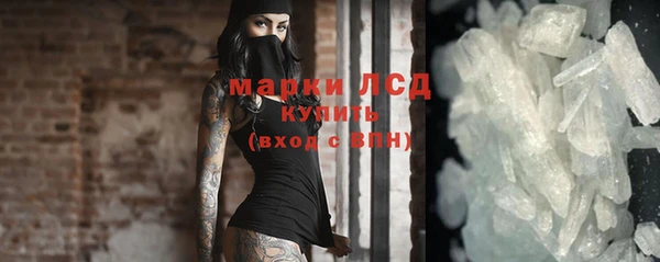 PSILOCYBIN Белокуриха