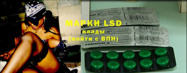 PSILOCYBIN Белокуриха