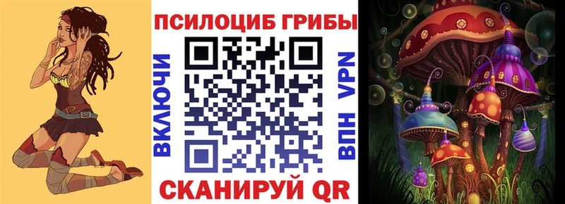 Купить Орехово-Зуево Галлюциногенные грибы мицелий