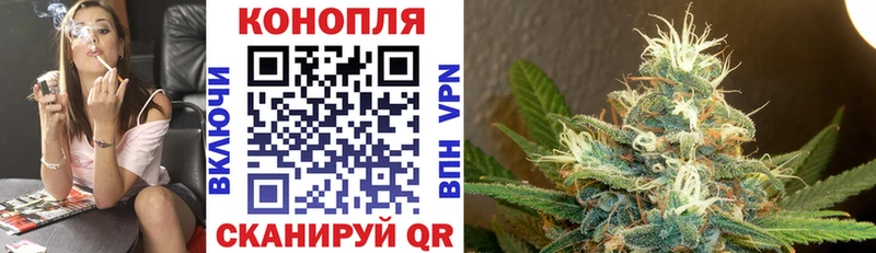Купить где Орехово-Зуево Конопля сатива